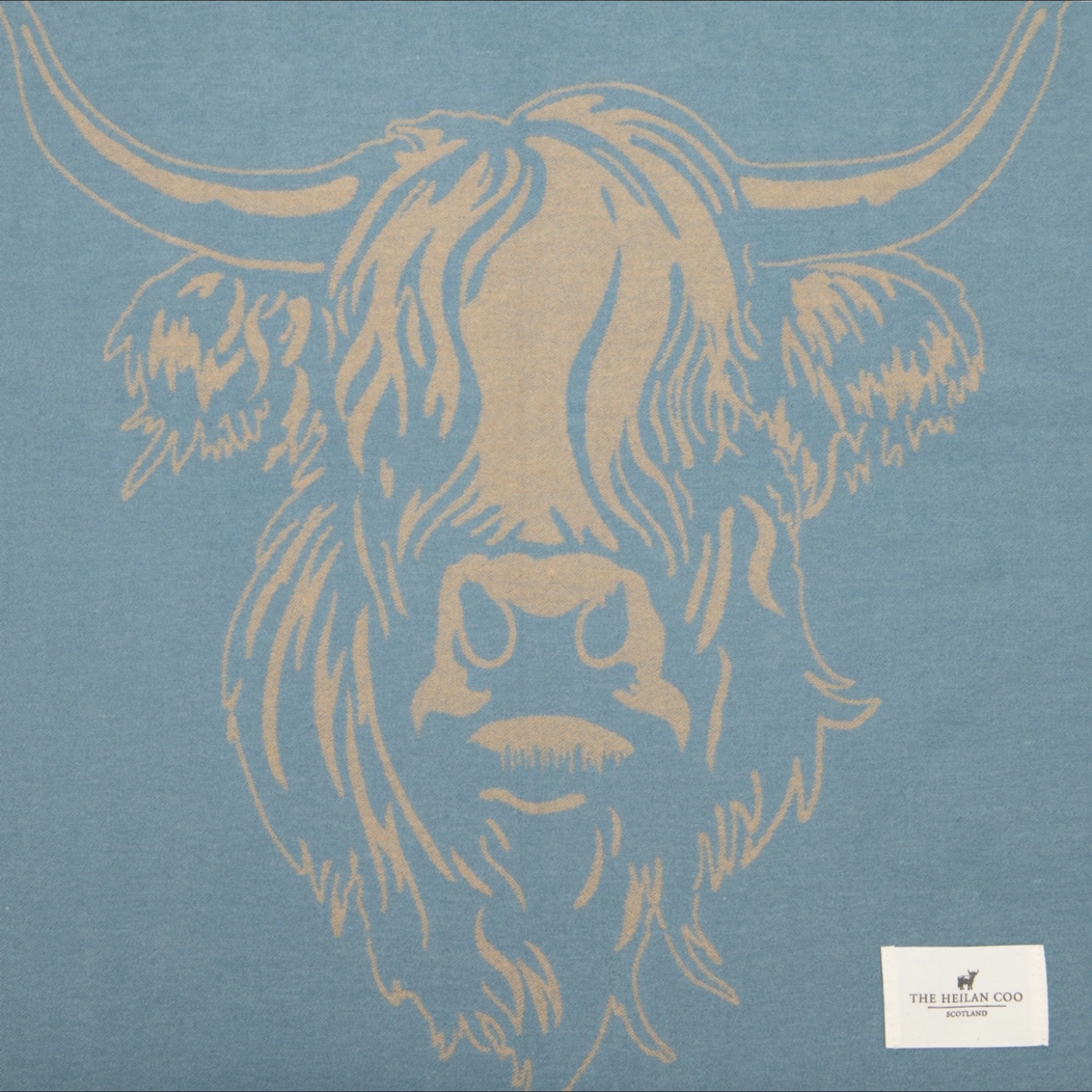 Heilan Coo Super Soft Scarf - Powder Blue/Pale Blue