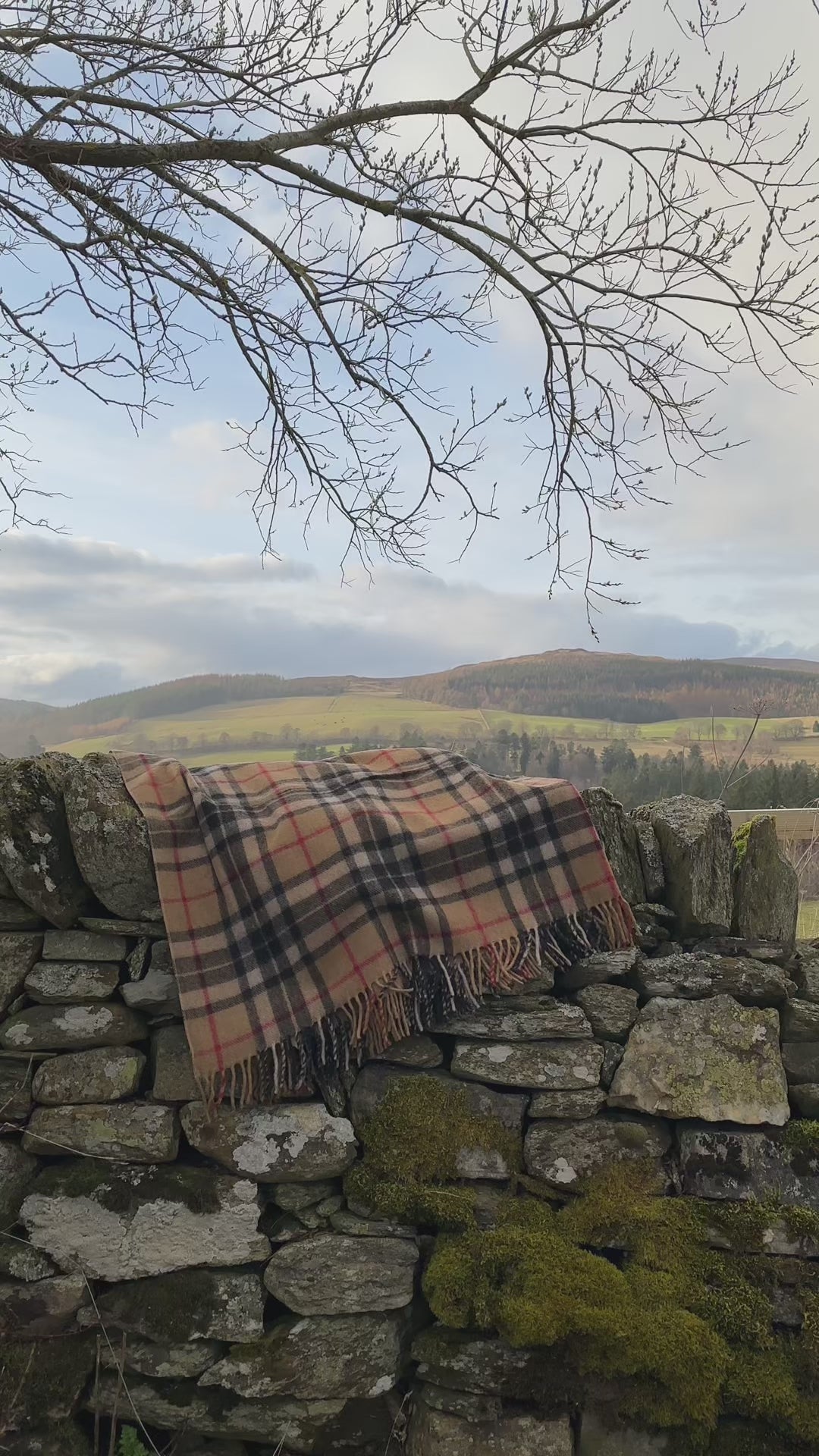 Camel Thomson - 100% Recycled Wool Tartan Blanket
