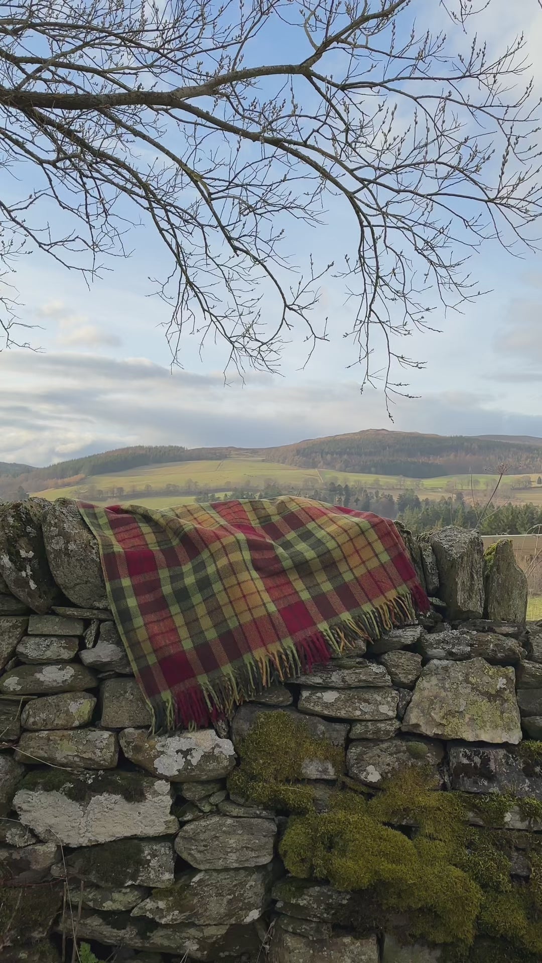 Autumn Buchanan - 100% Recycled Wool Tartan Blanket