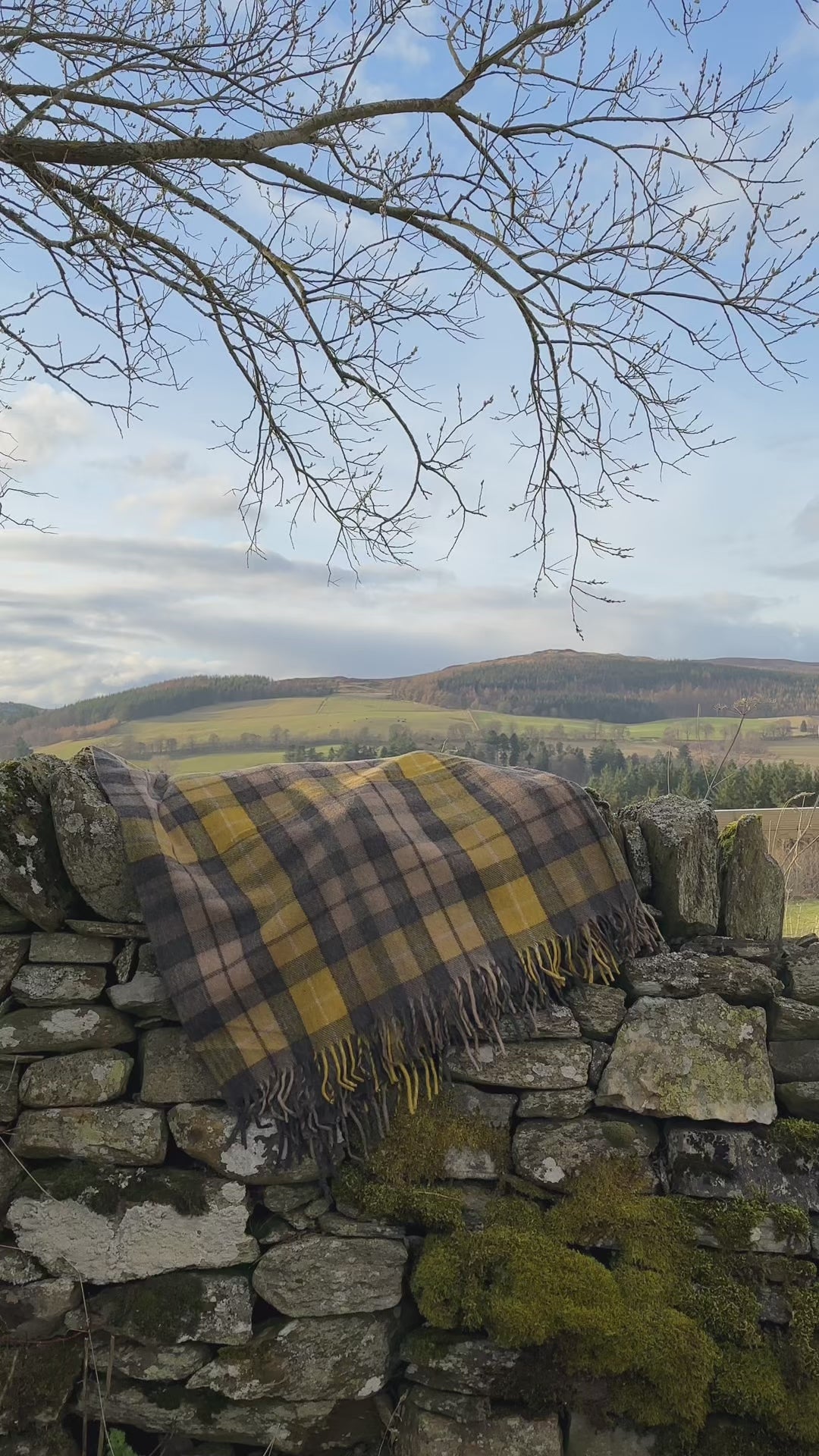 Natural Buchanan - 100% Recycled Wool Tartan Blanket